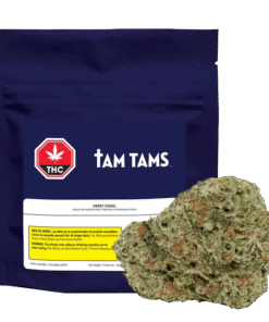 Tam Tams - Sweet Diesel (HYBRID)