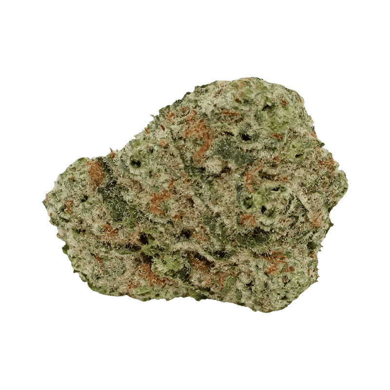 Tam Tams - Sweet Diesel (HYBRID) - Image 2