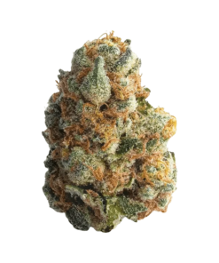 Alternative view of Spinach - GMO Cookies (INDICA)