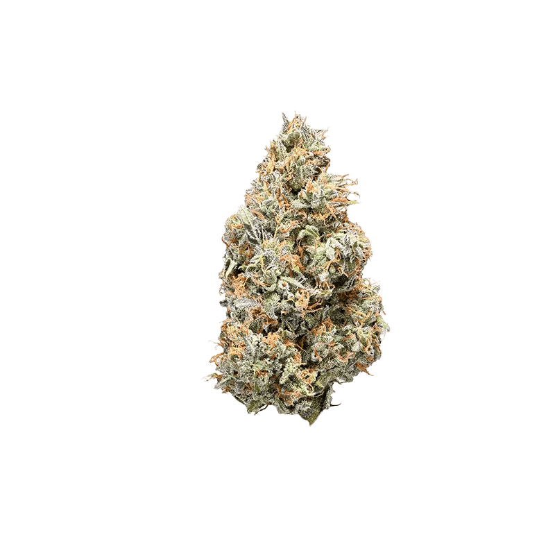 NugZ - Sativa - Image 2