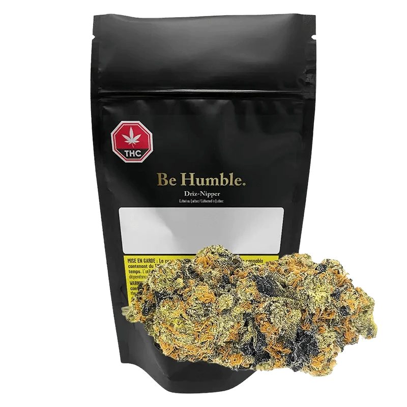 Be Humble - Driz-Nipper (INDICA)