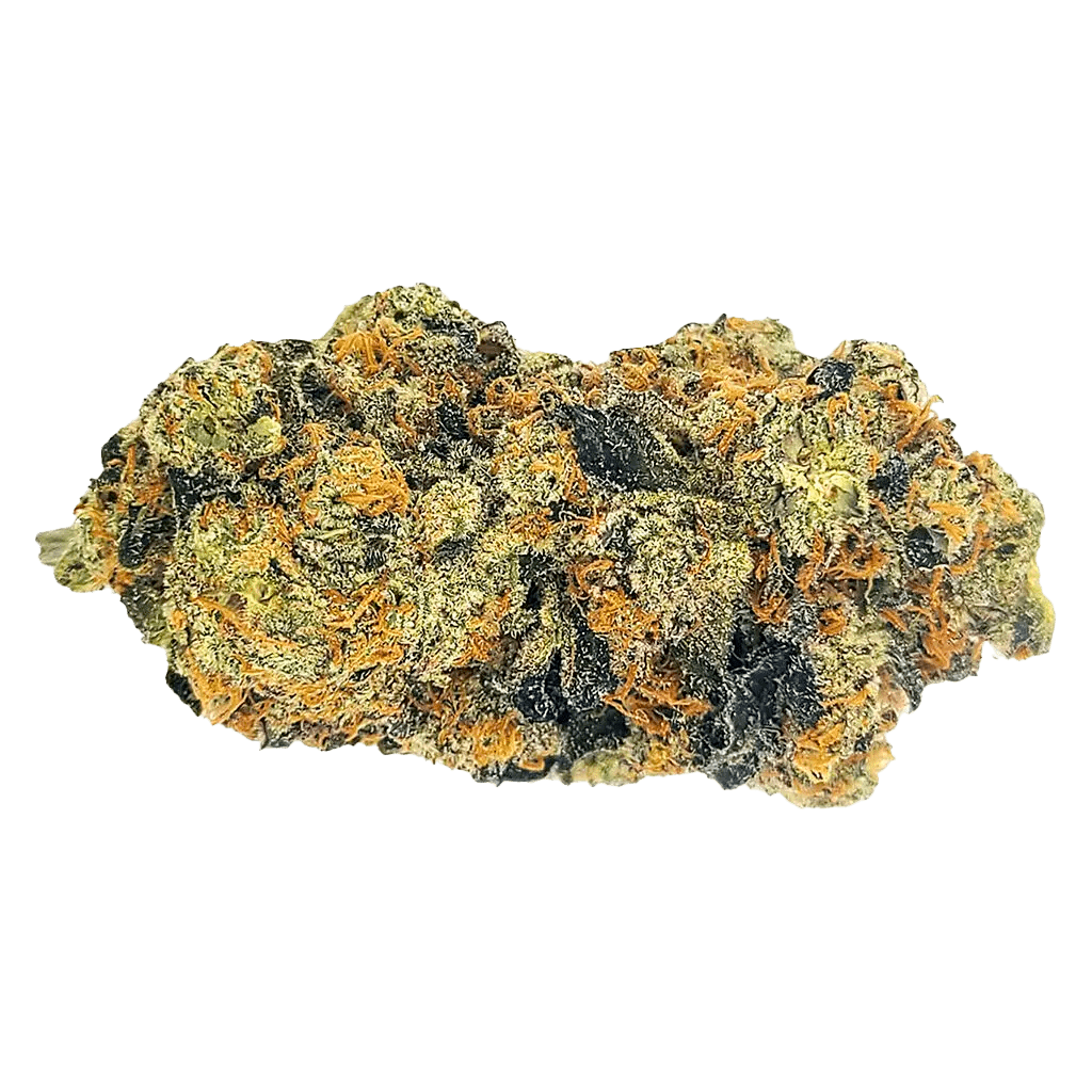 Be Humble - Driz-Nipper (INDICA) - Image 2