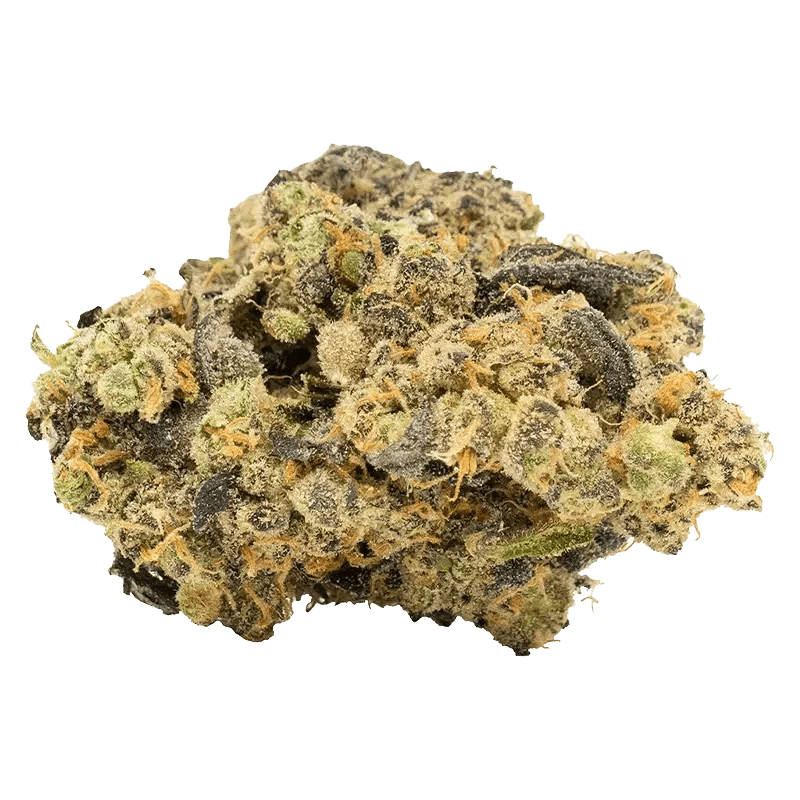 Doja - Lime MAC (HYBRID) - Image 2