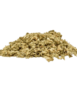 Alternative view of Ripped - Zone Out (INDICA)