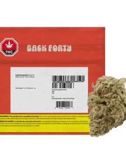 Back Forty - Liquid Imagination (HYBRID)