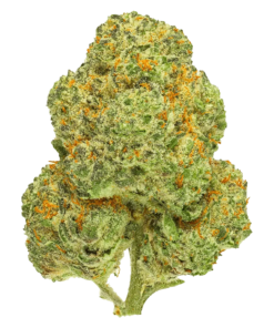 Alternative view of Thumbs Up - Chemango Kush (INDICA)