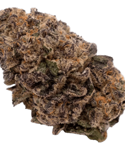 Alternative view of FIGR - Mellow Man (INDICA)