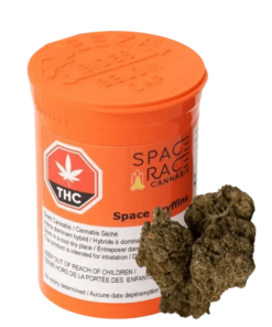 Space Race - Event Horizon (HYBRID)