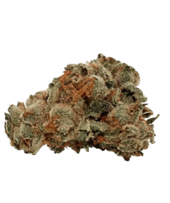 Alternative view of Pure Laine - Original Kush (INDICA)