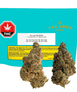 The Loud Plug - Splitter (HYBRID)