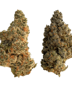 Alternative view of The Loud Plug - Splitter (HYBRID)