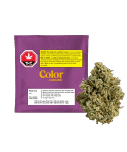 Color Cannabis - Mango Haze (SATIVA)