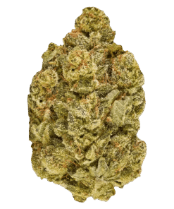 Alternative view of Good Supply - Inzane in the Membrane (SATIVA)