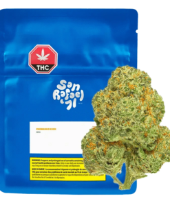 San Rafael '71 - Chemango Kush (INDICA)