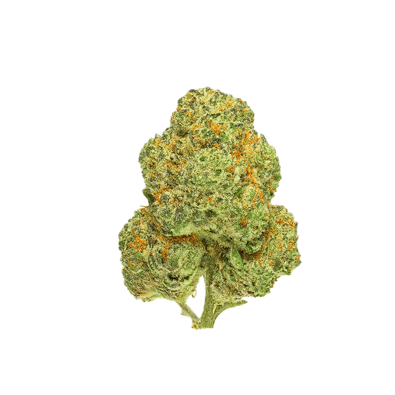San Rafael '71 - Chemango Kush (INDICA) - Image 2