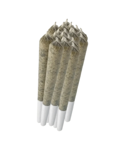 Alternative view of Sheeesh! - Trop Cherry PR 7 x 0.5 g (SATIVA)