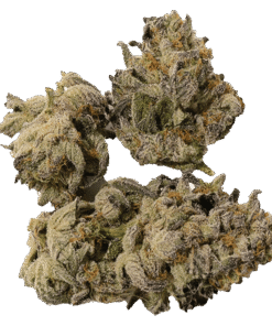 Alternative view of Castle Rock Farms - Cappuccino (SATIVA)