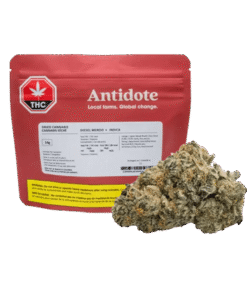 Beeba Boys - Puff Puff Pass (INDICA)