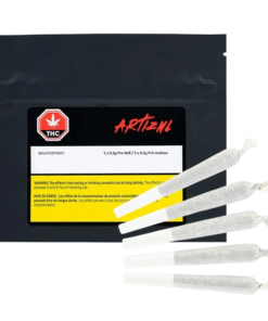 Artiznl - Gelatodyssey PR 5 x 0.5 g (INDICA)