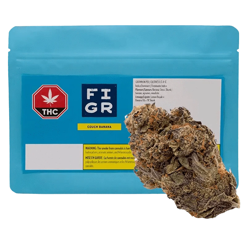 FIGR - Couch Banana (INDICA)