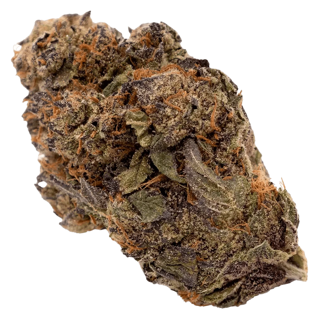 FIGR - Couch Banana (INDICA) - Image 2