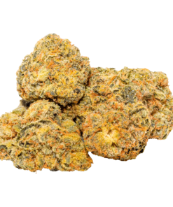 Alternative view of Tuck Shop - Zip (INDICA)