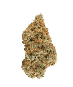 Alternative view of Redecan - Space Age Cake (INDICA)