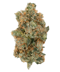 Alternative view of Muskoka Grown - Onion Ringz (INDICA)