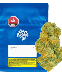 San Rafael '71 - Black Jelly (SATIVA)