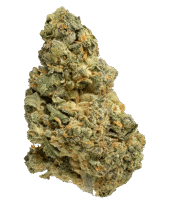 Alternative view of Pepe - Papaya Power (SATIVA)