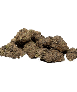 Alternative view of Space Race - Andromeda (INDICA)