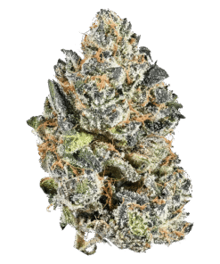 Alternative view of NugZ - Indica