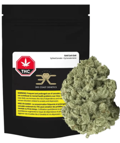 3rd Coast Genetics - Gold Cash Gold (INDICA)