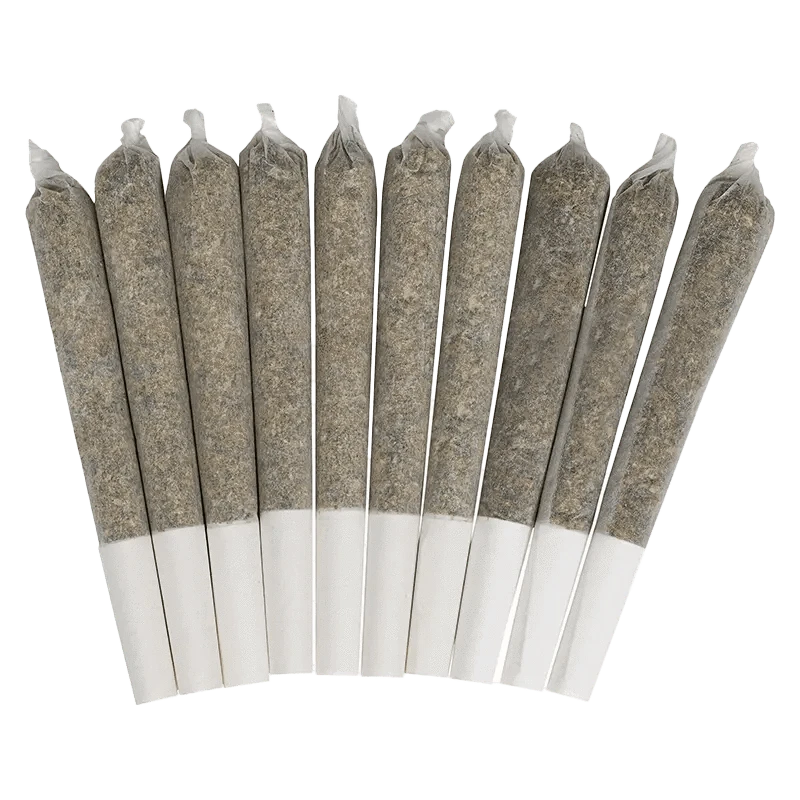 Color Cannabis - Pedro's Prima PR 10 x 0.35 g (SATIVA) - Image 2