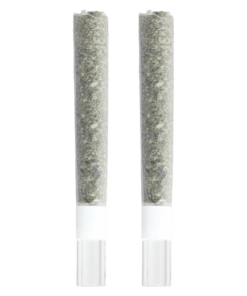 Alternative view of 3rd Coast Genetics - Gold Cash & Pure Michigan Glass Tip PR 2 x 1 g (INDICA)