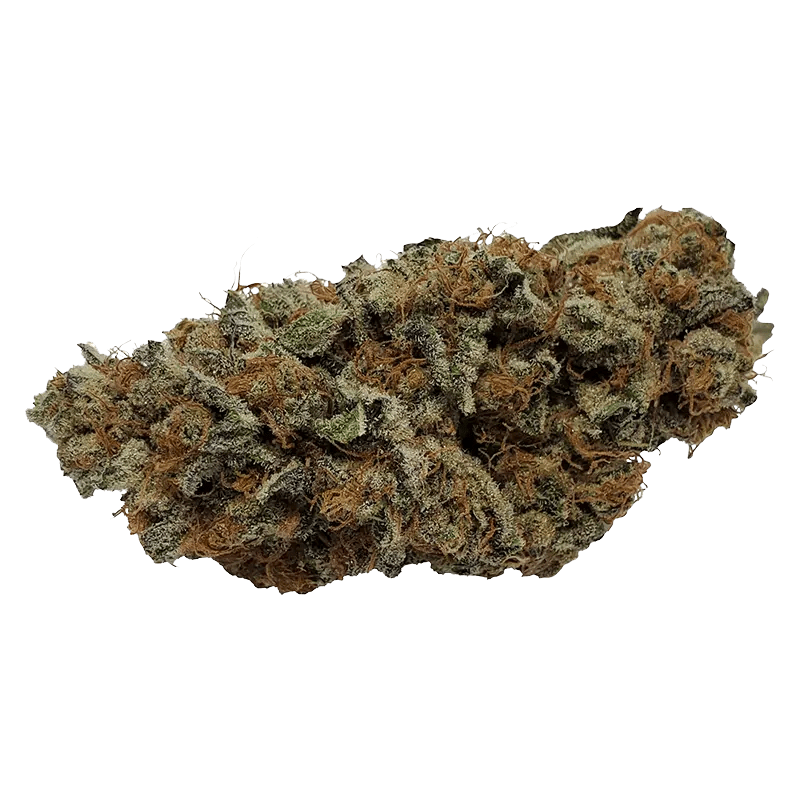 Color Cannabis - Pedro's Prima (SATIVA) - Image 2