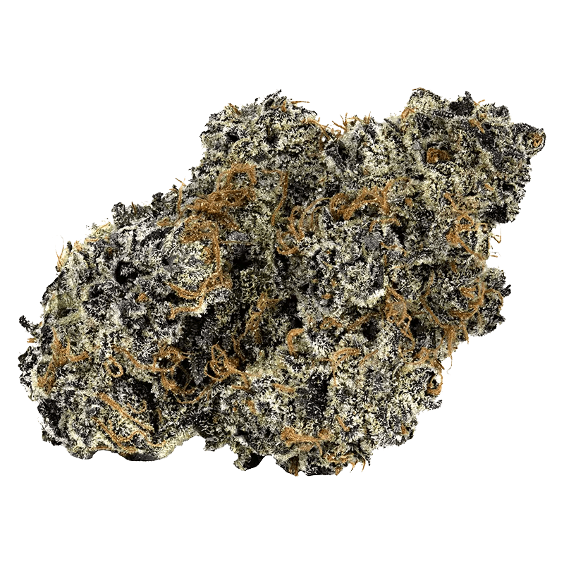 Cookies - TQ Sunrise (HYBRID) - Image 2