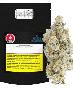 Naked Mummer - Phenohunt Series (INDICA)