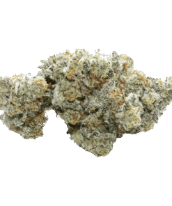 Alternative view of Volo - Grapes of Wrath (INDICA)