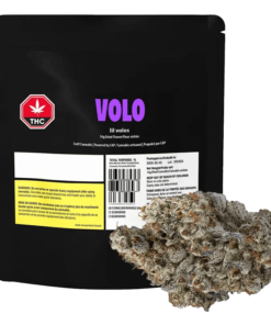 Volo - lil volos (INDICA)