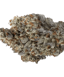 Alternative view of Volo - lil volos (INDICA)