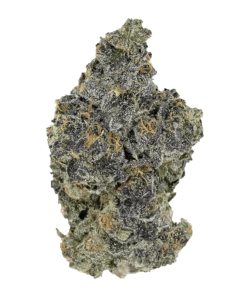 Alternative view of Pistol and Paris - BC's Finest (INDICA)