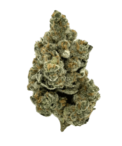 Alternative view of 2 Rivers Cannabis - Slurricake Sundae (INDICA)