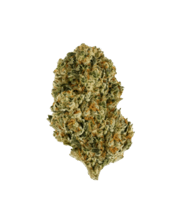 Alternative view of Pure Sunfarms - Backcross Mints (HYBRID)