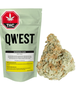 Qwest - Morning Sun (INDICA)