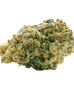 Alternative view of Spinach - Sour Chem (SATIVA)