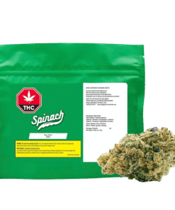 Spinach - Sour Chem (SATIVA)