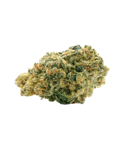 Alternative view of Spinach - Sour Chem (SATIVA)