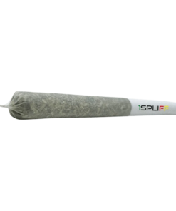 Alternative view of 1Spliff - Celestial Mega Pack PR 80 x 0.35 g (HYBRID)