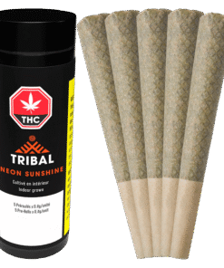 Tribal - Neon Sunshine PR 5 x 0.6 g (HYBRID)
